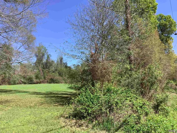 $261,900 | 19.4-acres 19.4-acres Fountain Young Rd Pine Grove, Pine Grove, LA 70453