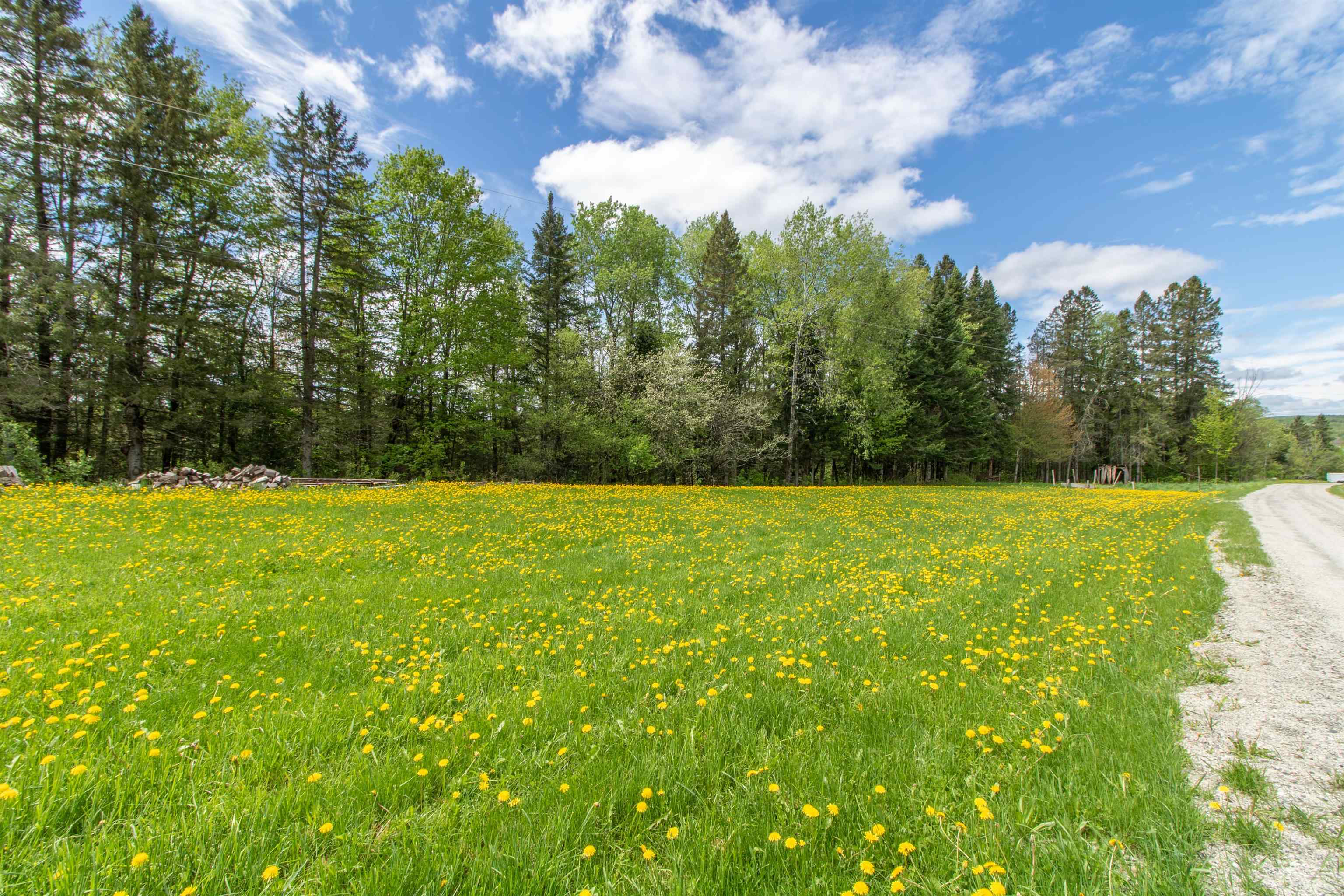 174 Andrews Road Holland, VT 05830 - Photo 46 of 54 Gallery Image 46