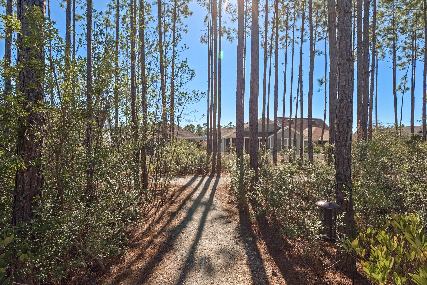 38 Somersault Lane Inlet Beach, FL 32461 - Photo 28 of 50 Rear view from porch