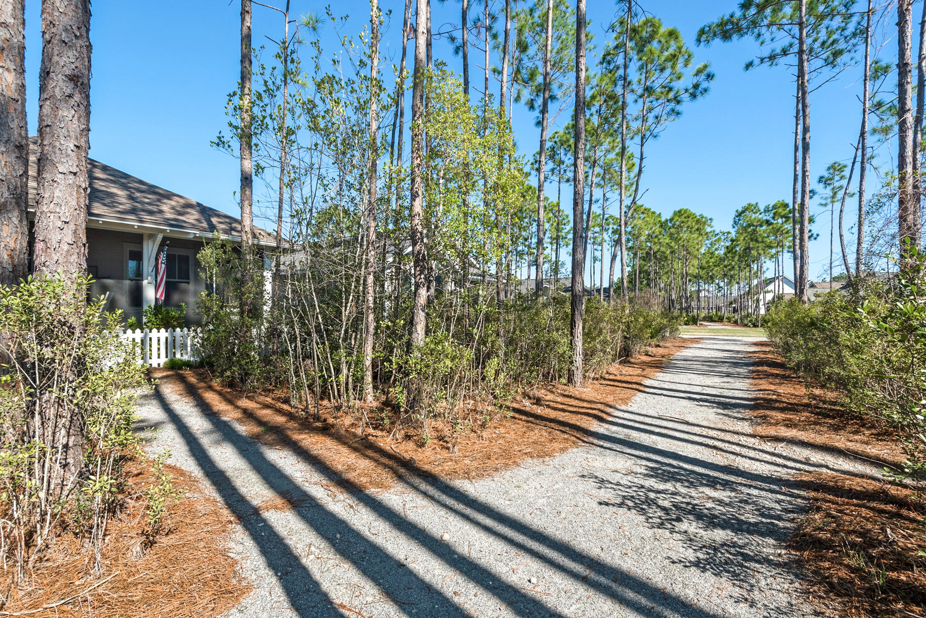 38 Somersault Lane Inlet Beach, FL 32461 - Photo 30 of 50 Rear view toward porch & trails