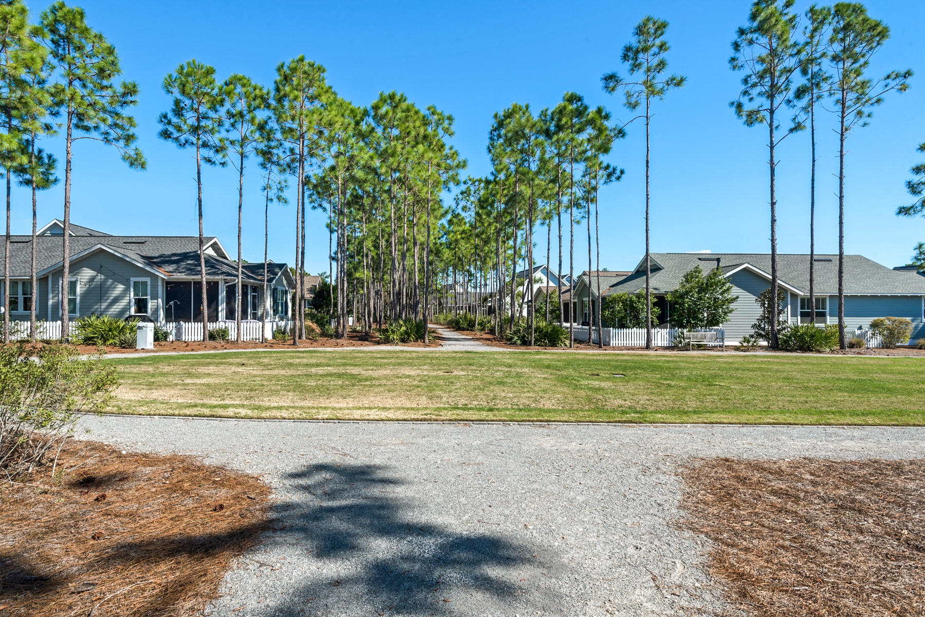 38 Somersault Lane Inlet Beach, FL 32461 - Photo 31 of 50 Green space