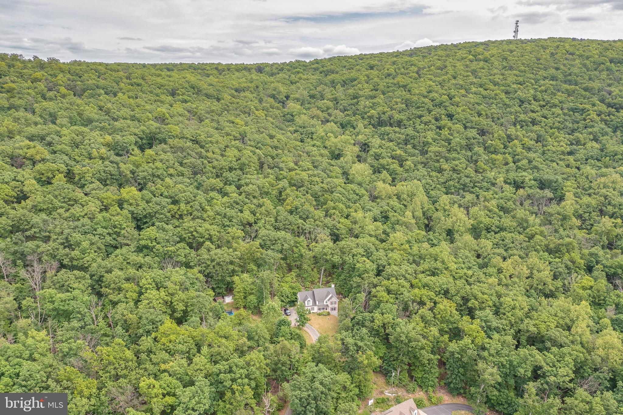 71 Ray Ridge Lane Harpers Ferry, WV 25425 - Photo 41 of 48
