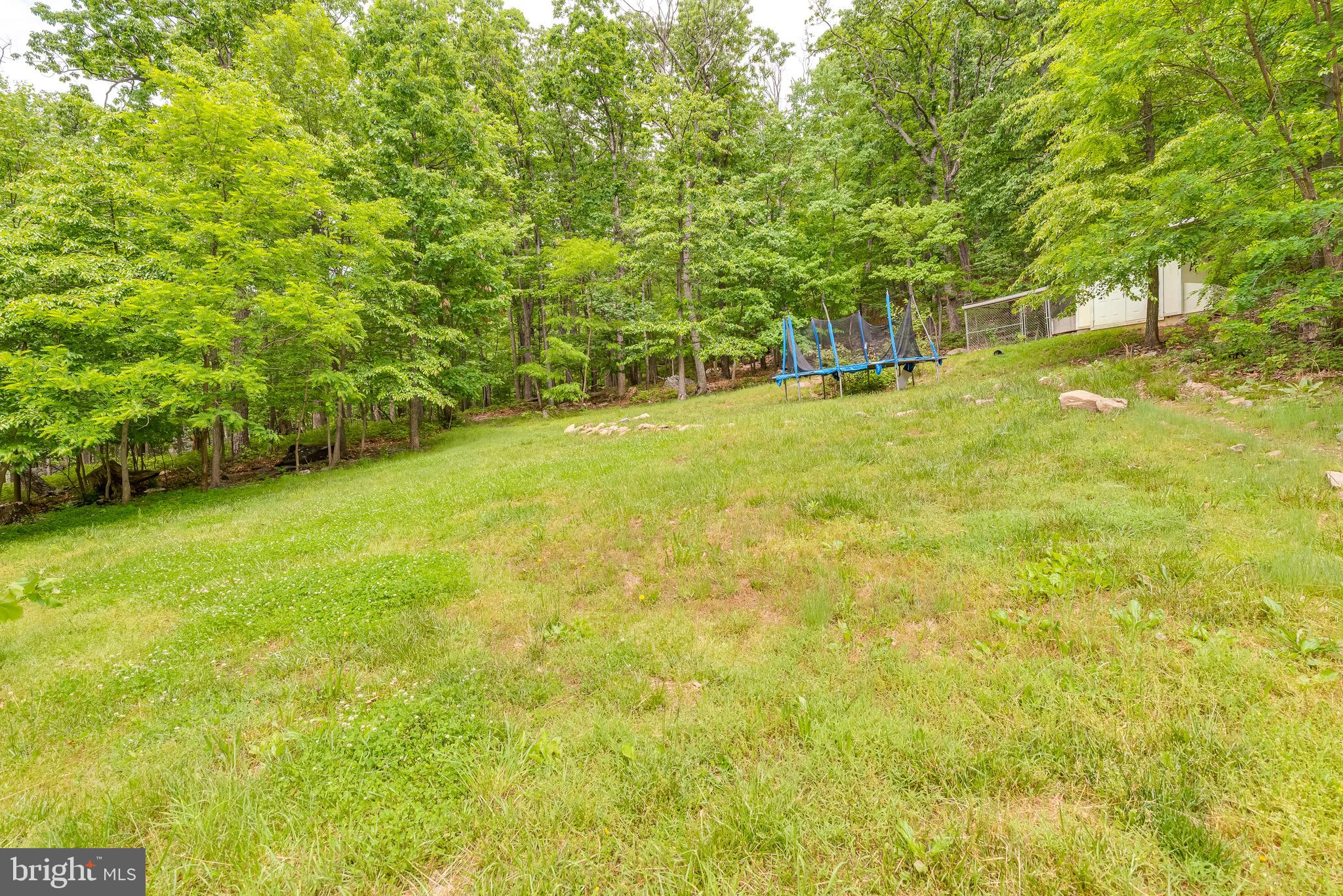 71 Ray Ridge Lane Harpers Ferry, WV 25425 - Photo 46 of 48