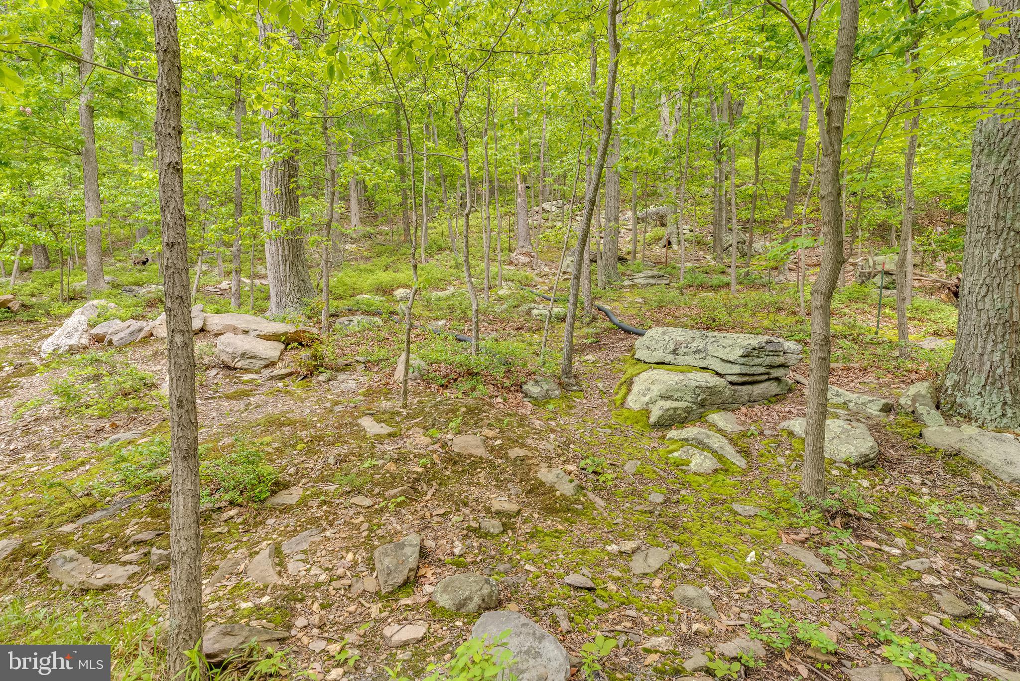 71 Ray Ridge Lane Harpers Ferry, WV 25425 - Photo 47 of 48