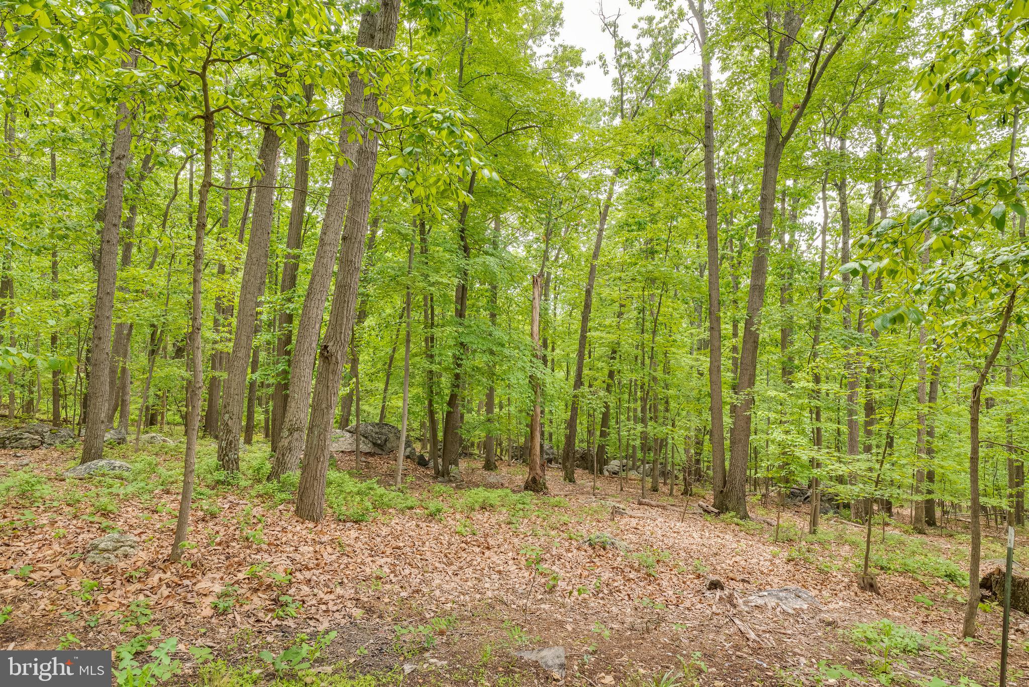71 Ray Ridge Lane Harpers Ferry, WV 25425 - Photo 48 of 48