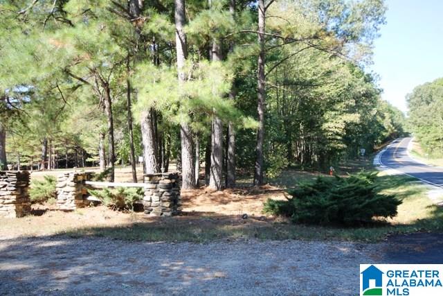 0 County Road 928, Unit 19 Delta, AL 36258 - Photo 25 of 43