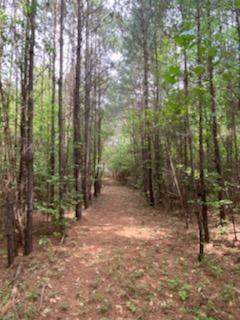 2220 Emmett Doster Road Northwest Monroe, GA 30656 - Photo 1 of 1