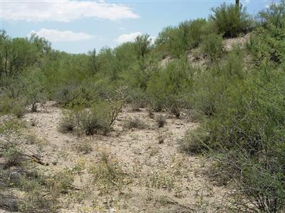 3533 West Goret Road Tucson, AZ 85745 - Photo 5 of 5 Gallery Image 5