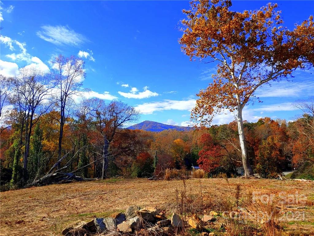 0 Carson Street Tryon, NC 28782 - Photo 1 of 13 a view of a yard with a tree