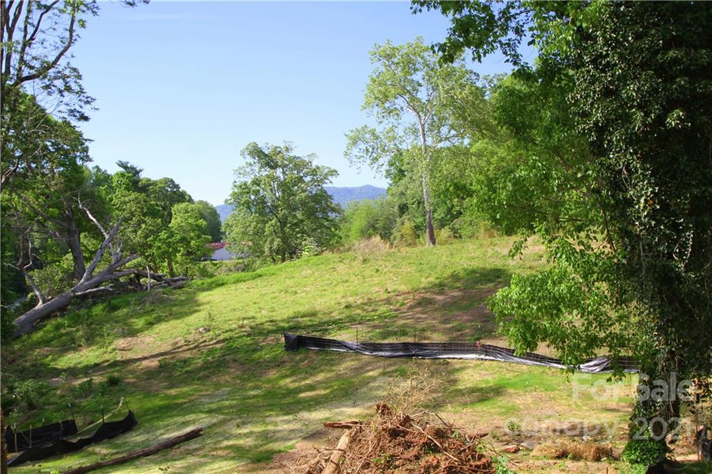 0 Carson Street Tryon, NC 28782 - Photo 11 of 13 a view of a back yard of the house