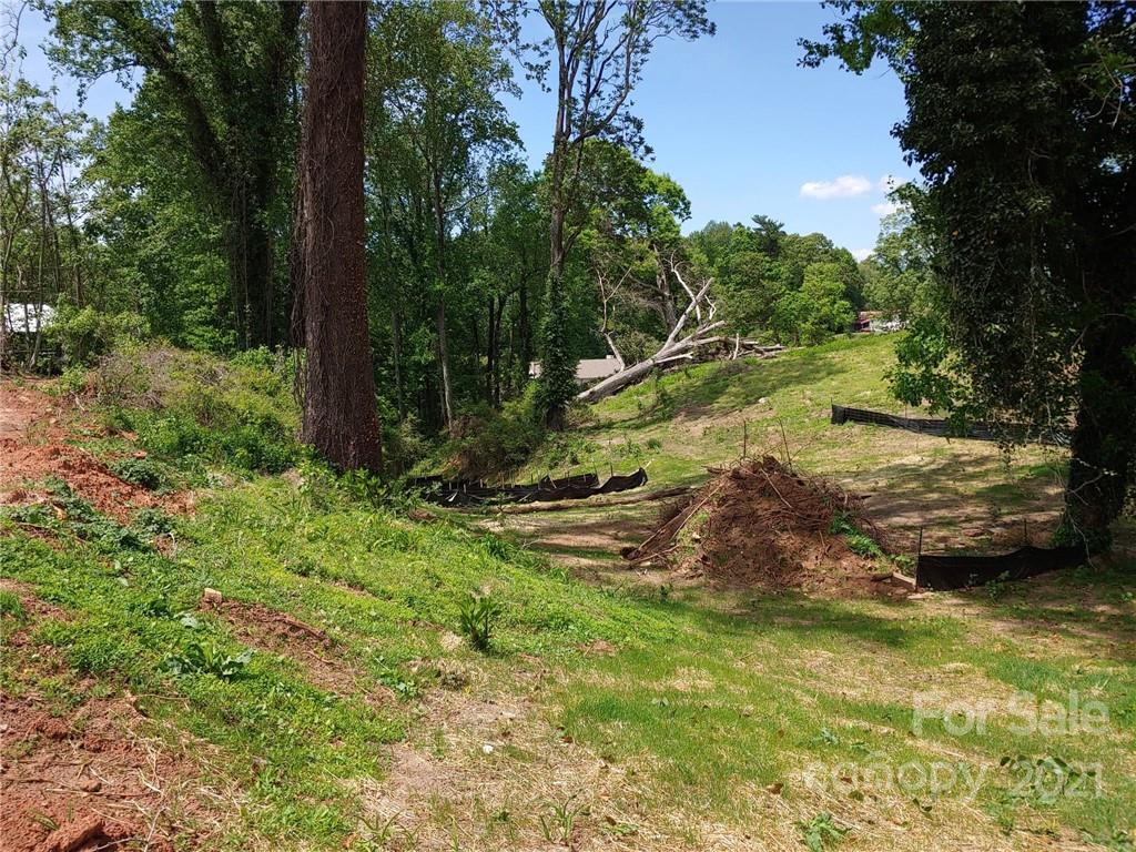 0 Carson Street Tryon, NC 28782 - Photo 13 of 13 a view of a yard with swimming pool