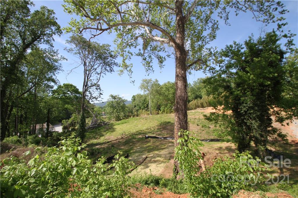 0 Carson Street Tryon, NC 28782 - Photo 3 of 13 a view of a yard