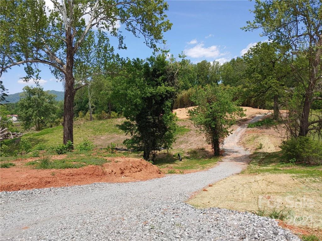 0 Carson Street Tryon, NC 28782 - Photo 5 of 13 a view of a yard with plants and trees