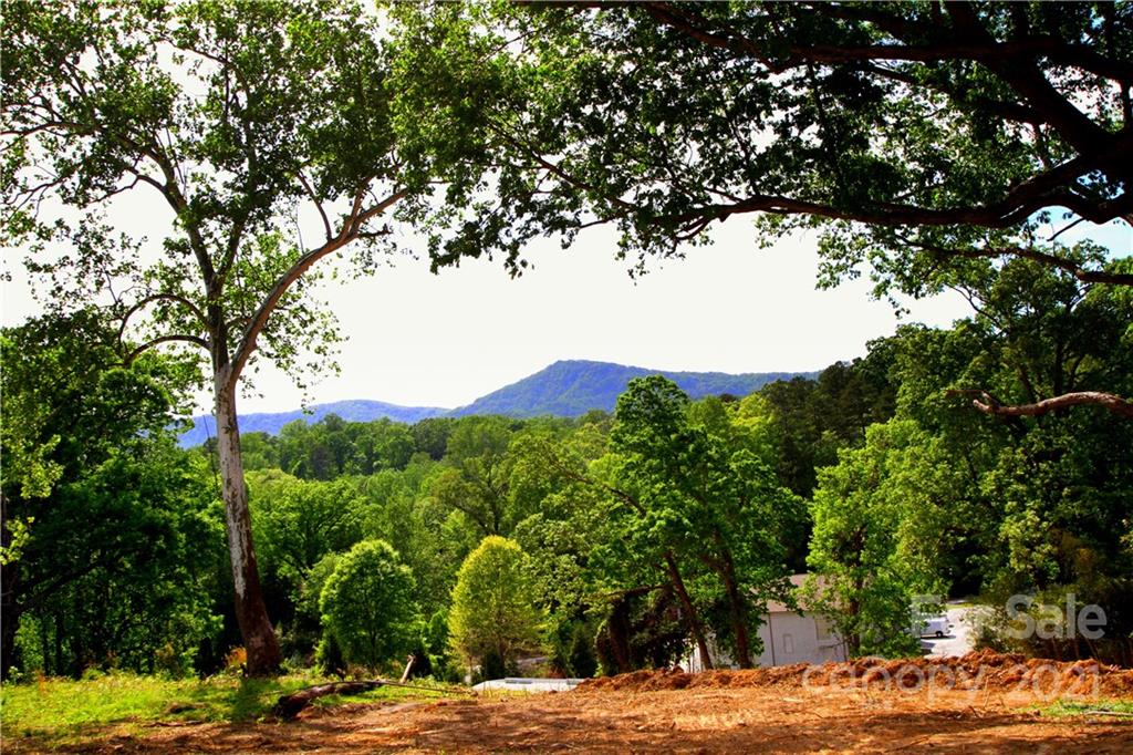 0 Carson Street Tryon, NC 28782 - Photo 6 of 13 a view of a yard with a tree