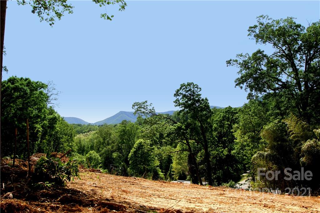 0 Carson Street Tryon, NC 28782 - Photo 8 of 13 a view of a backyard of the house