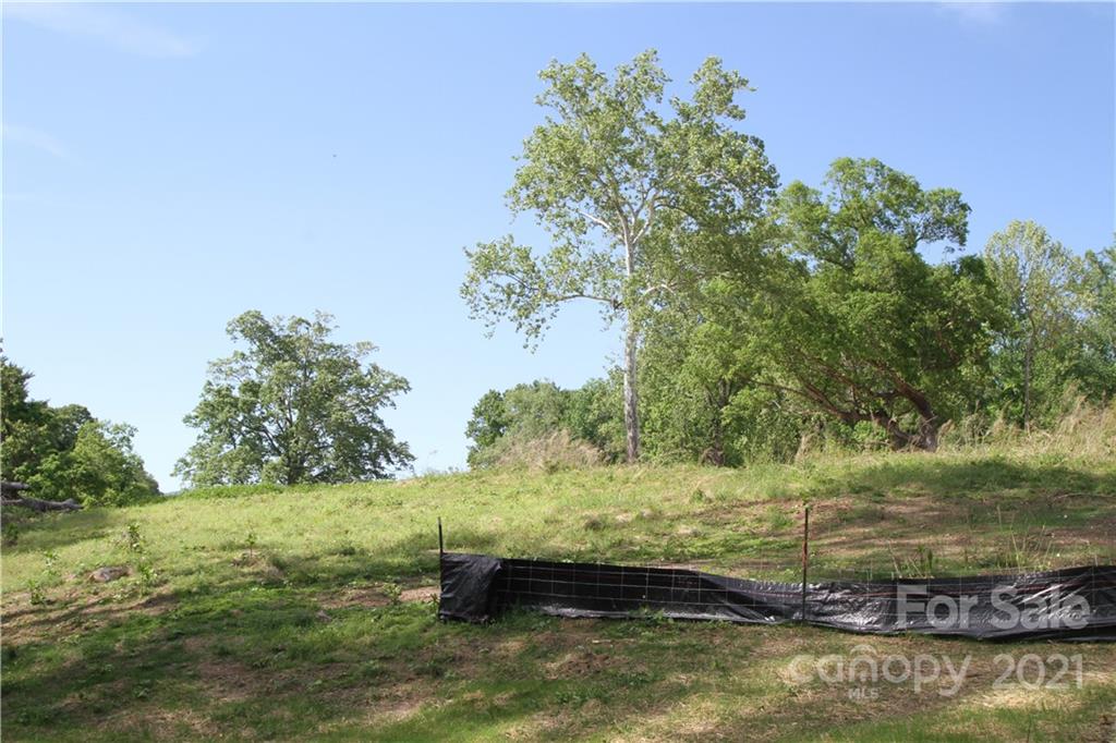 0 Carson Street Tryon, NC 28782 - Photo 10 of 13 a view of a lake with a yard