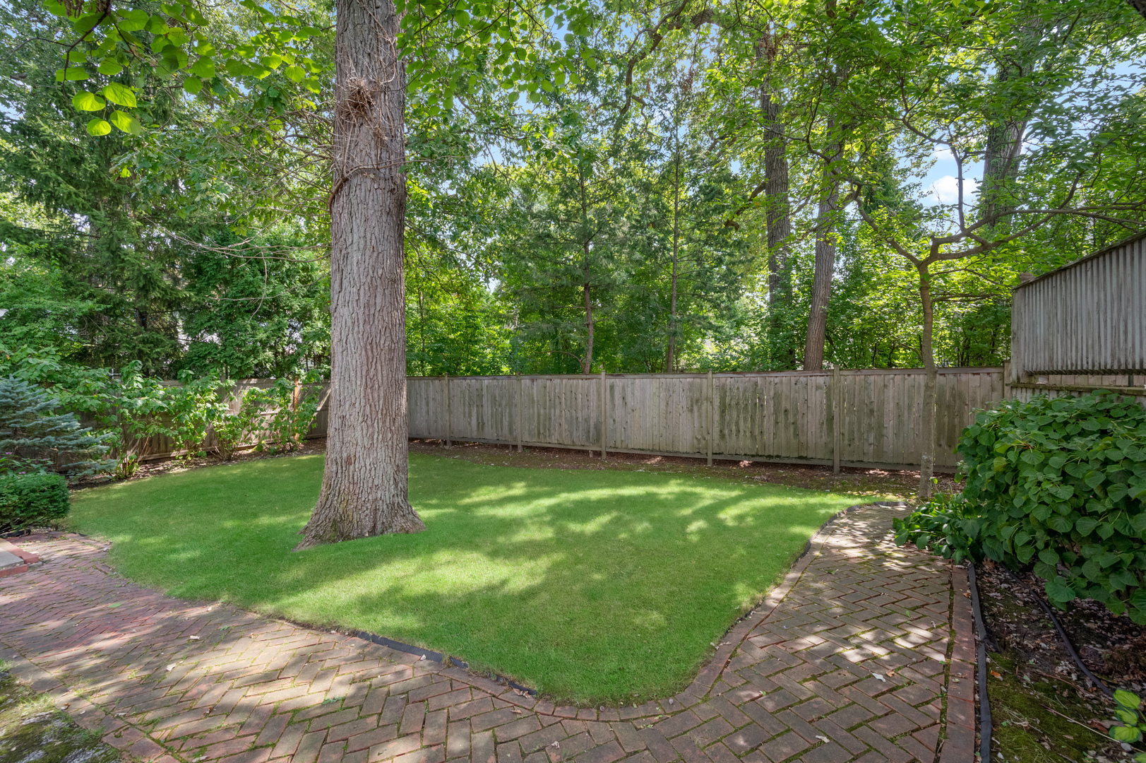 841 Prospect Avenue Winnetka, IL 60093 - Photo 27 of 35 a view of a backyard with a wooden fence and a large tree