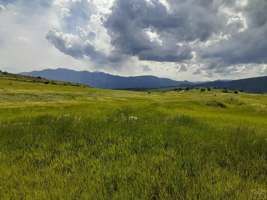 Tbd Apollo Circle Rye, CO 81069 - Photo 2 of 11