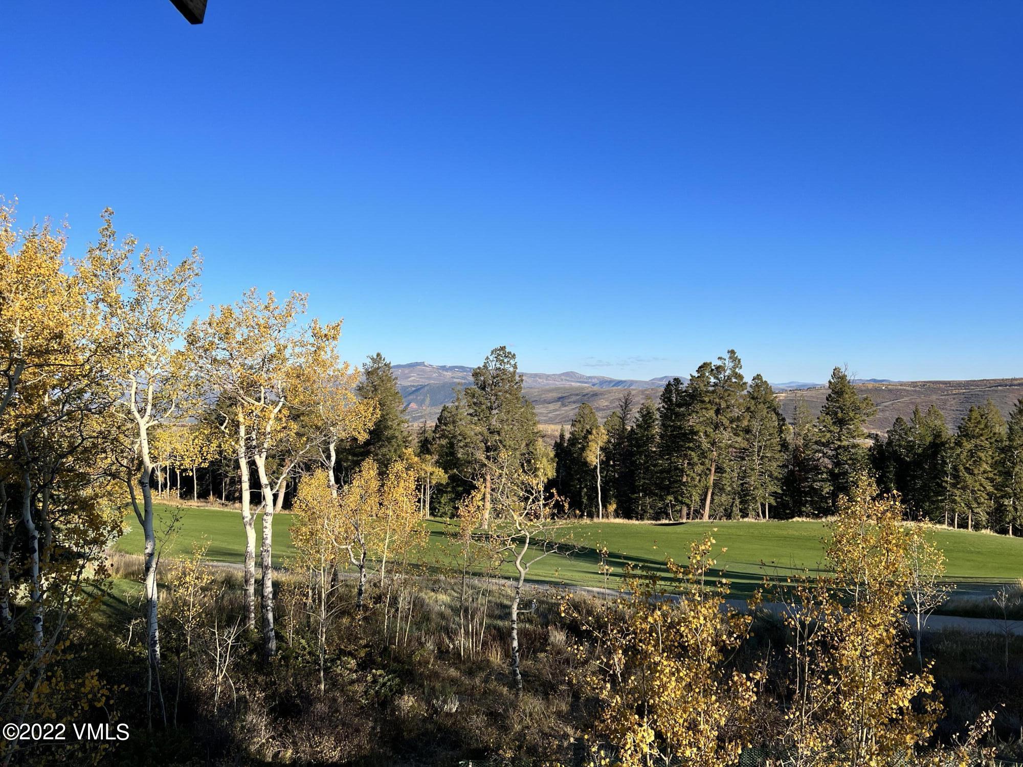 29 Kimberwick Way Edwards, CO 81632 - Photo 12 of 46 a view of a green field with trees