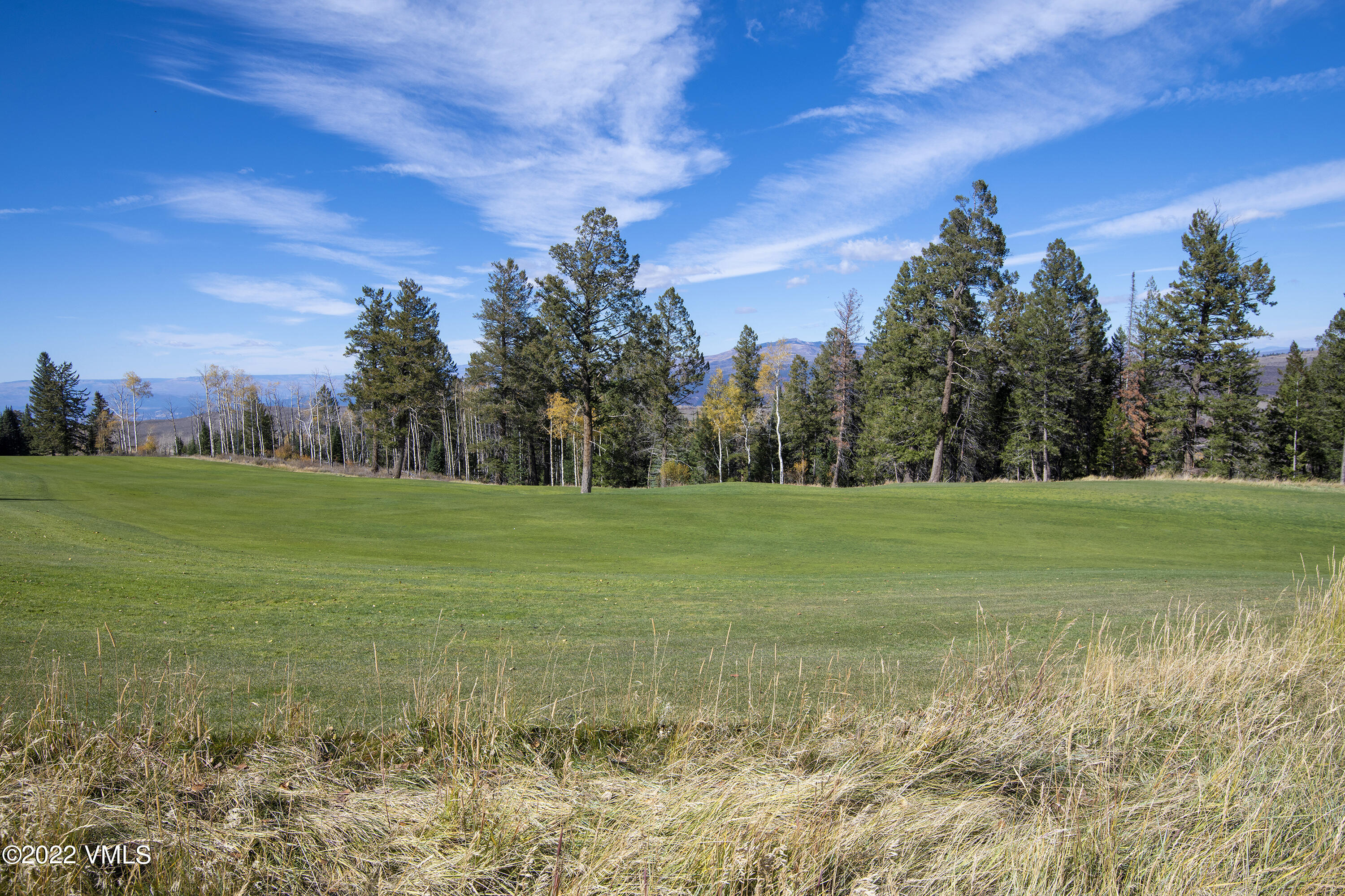 29 Kimberwick Way Edwards, CO 81632 - Photo 19 of 46 a view of a field with an trees in the background