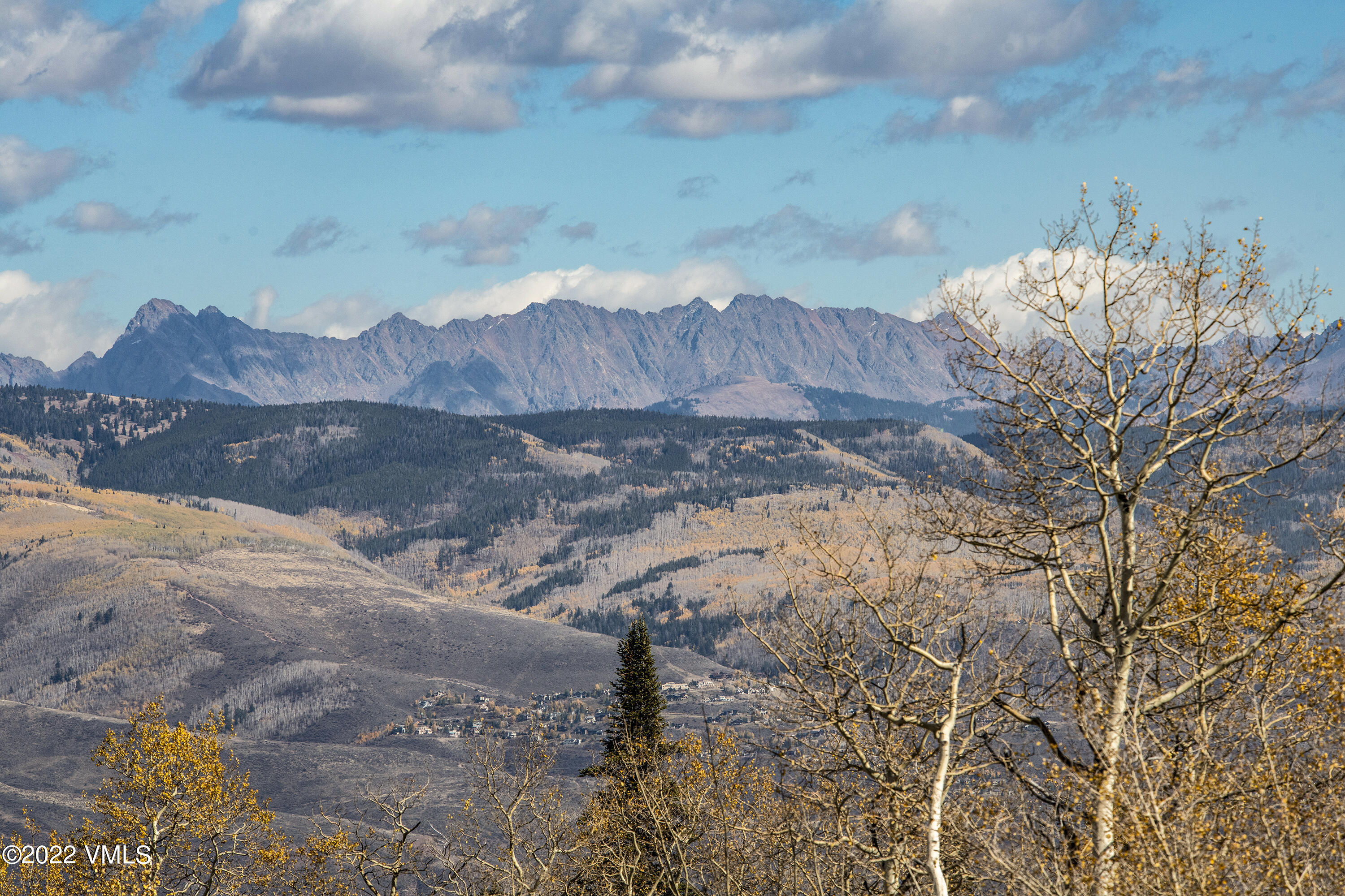 29 Kimberwick Way Edwards, CO 81632 - Photo 20 of 46 a view of a yard with wooden fence