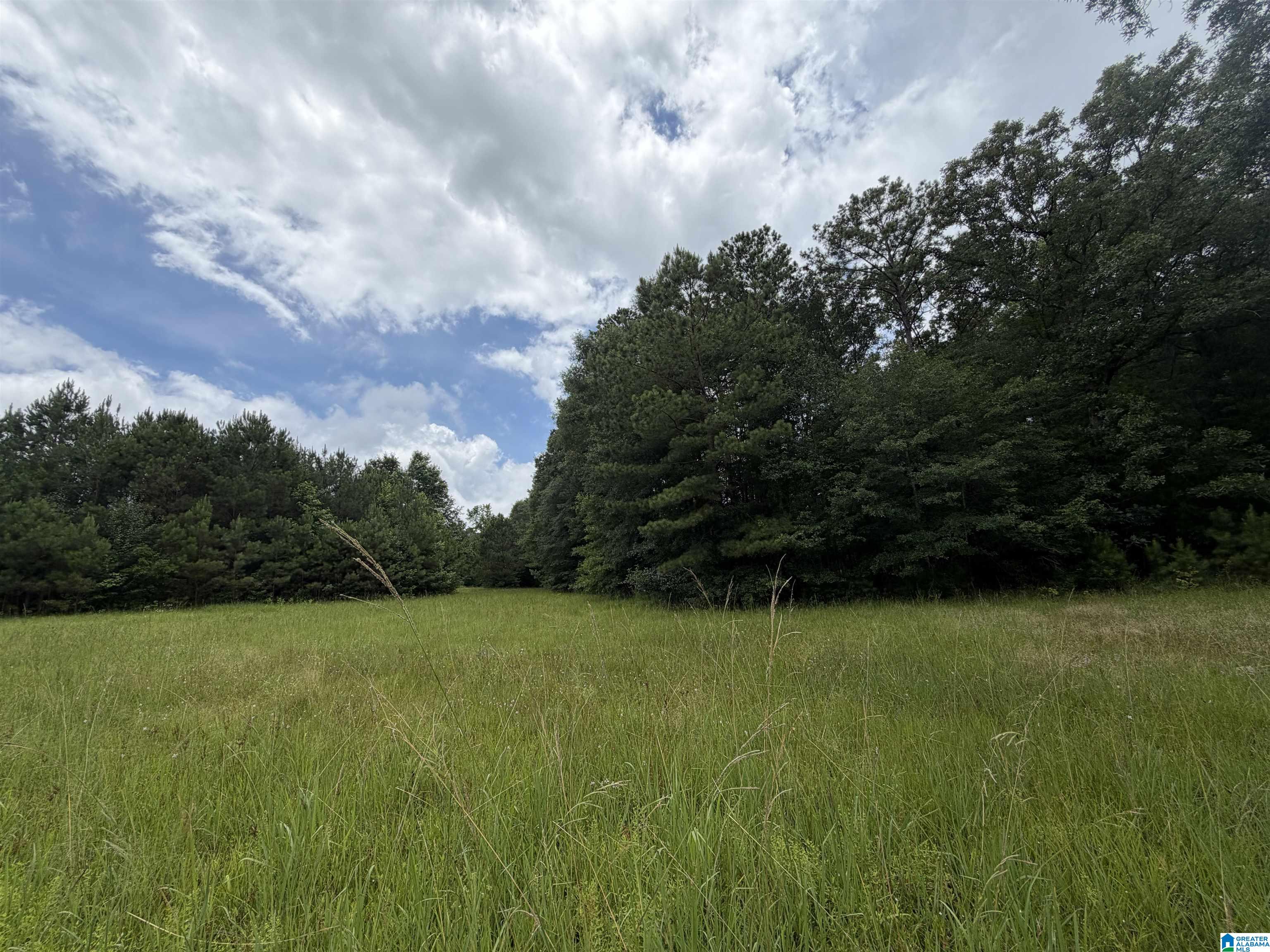 0 Hall Burton Road, Unit 1 Sumiton, AL 35148 - Photo 4 of 10