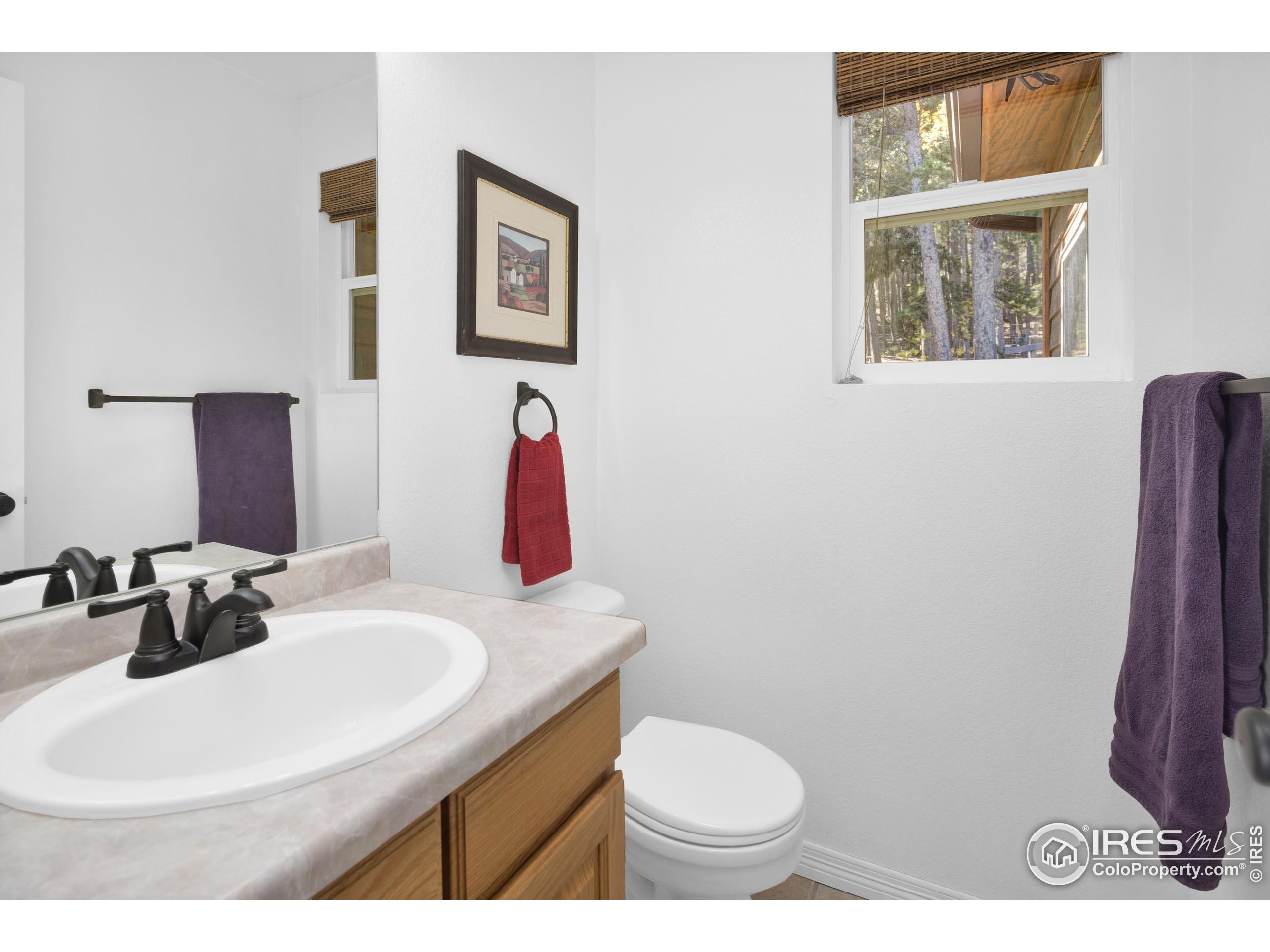 220 Timber Road Black Hawk, CO 80422 - Photo 11 of 44