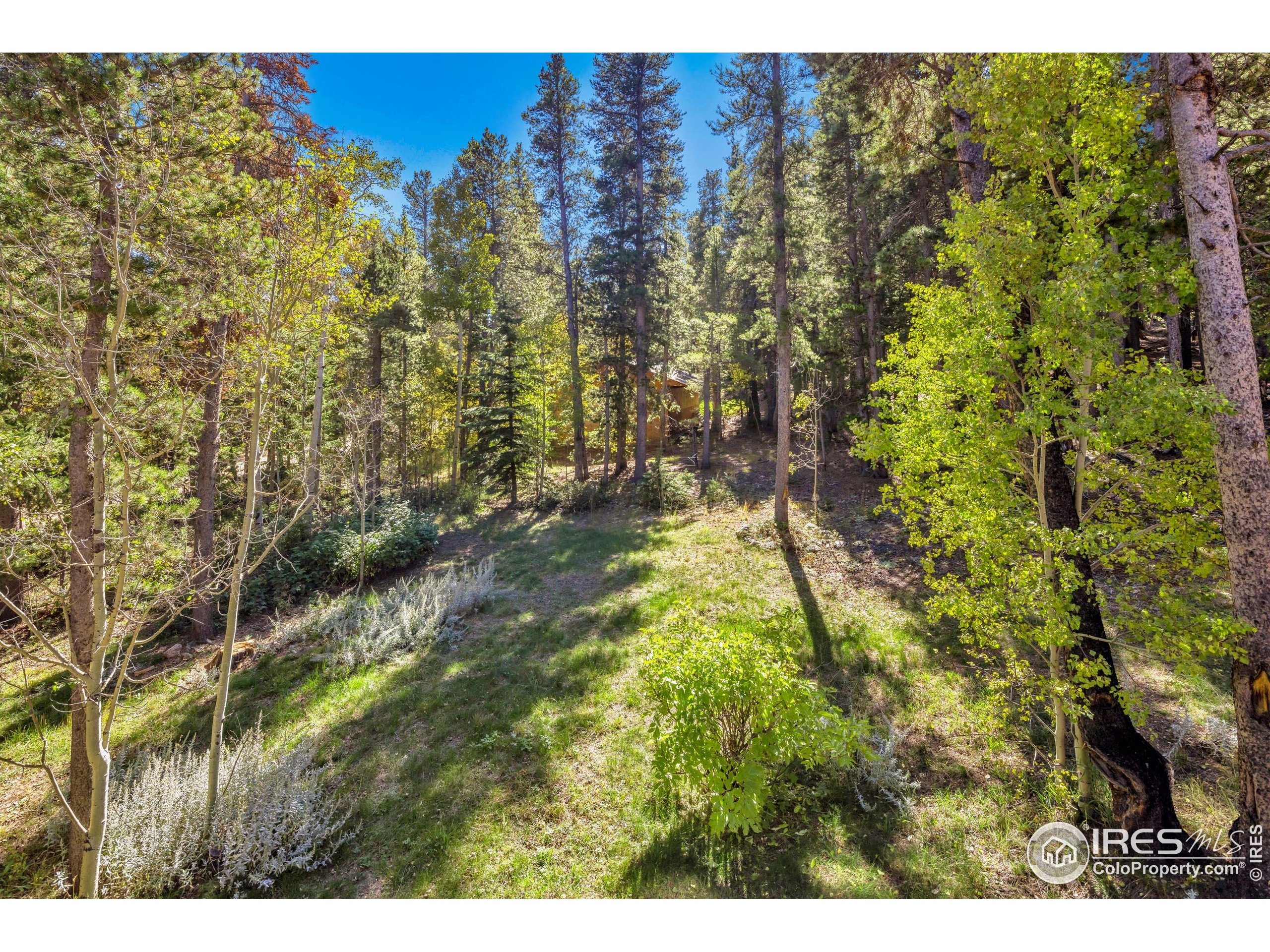 220 Timber Road Black Hawk, CO 80422 - Photo 31 of 44