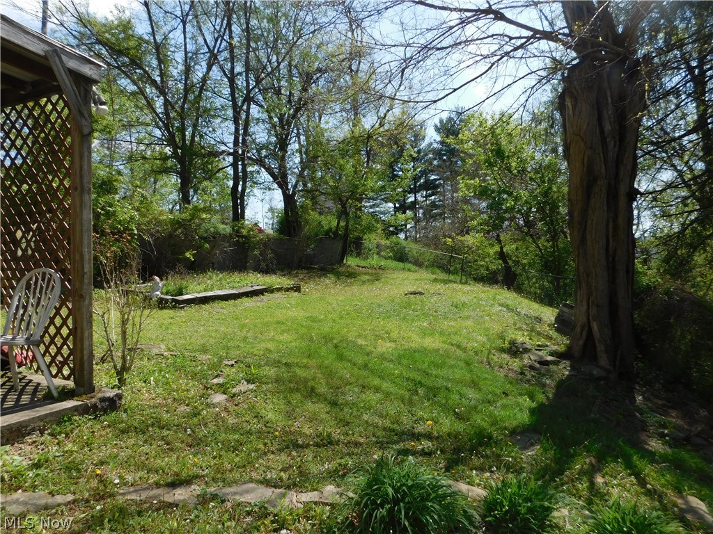 68250 Wrixon Road Bridgeport, OH 43912 - Photo 21 of 27