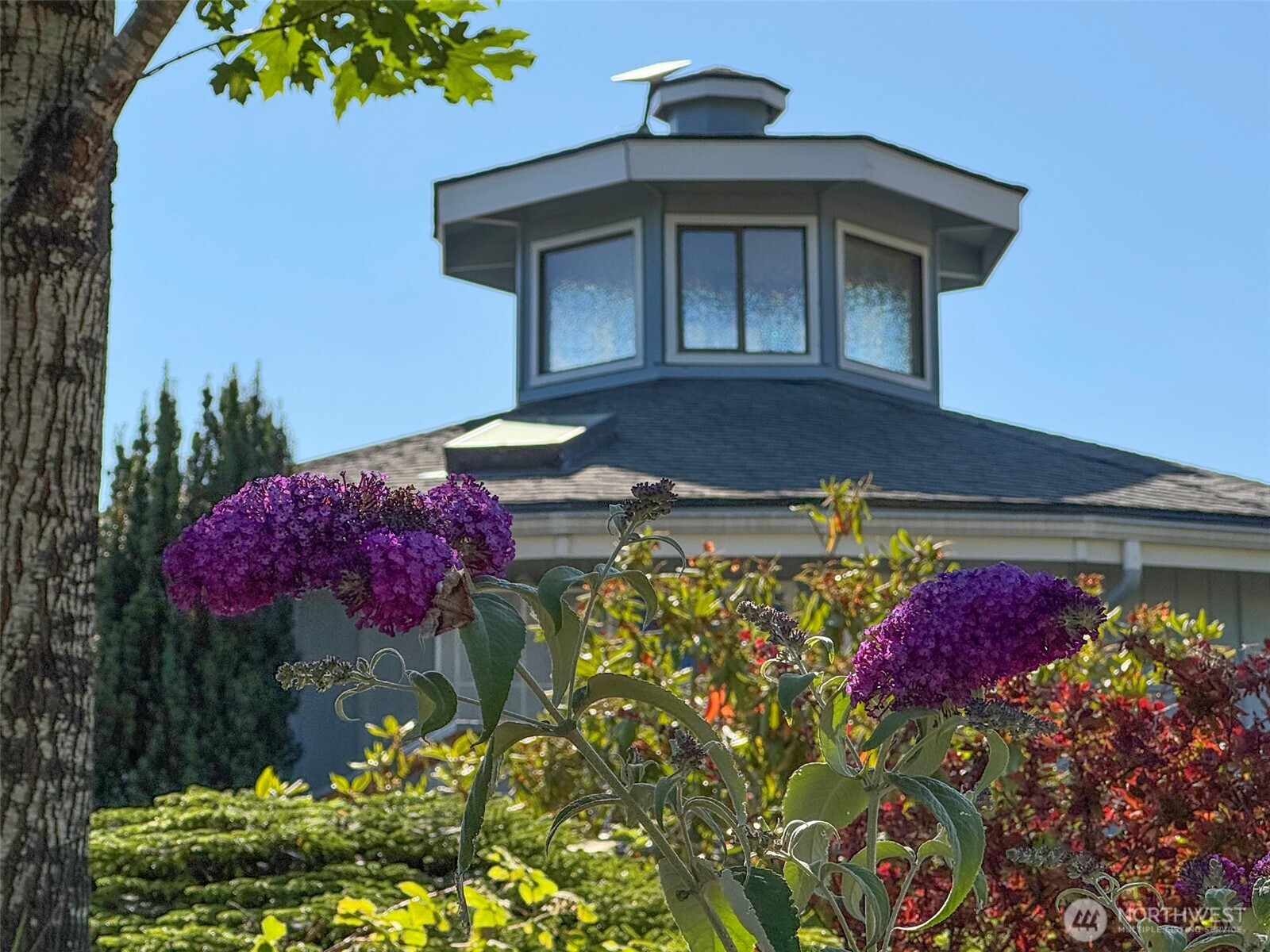63 Hummingbird Lane Sequim, WA 98382 - Photo 6 of 40 a front view of a house with a yard