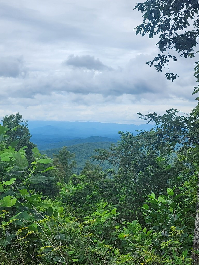 0 Vance Mountain Road Murphy, NC 28906 - Photo 12 of 15 Potential View