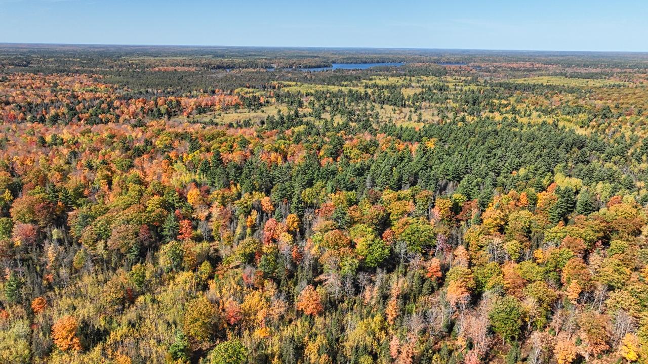 Three Reed Road Three Lakes, WI 54562 - Photo 22 of 28 Gallery Image 22