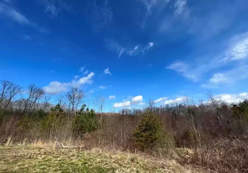 378 Green Forest Road, Unit 15 Dunlap, TN 37327 - Photo 13 of 15 21