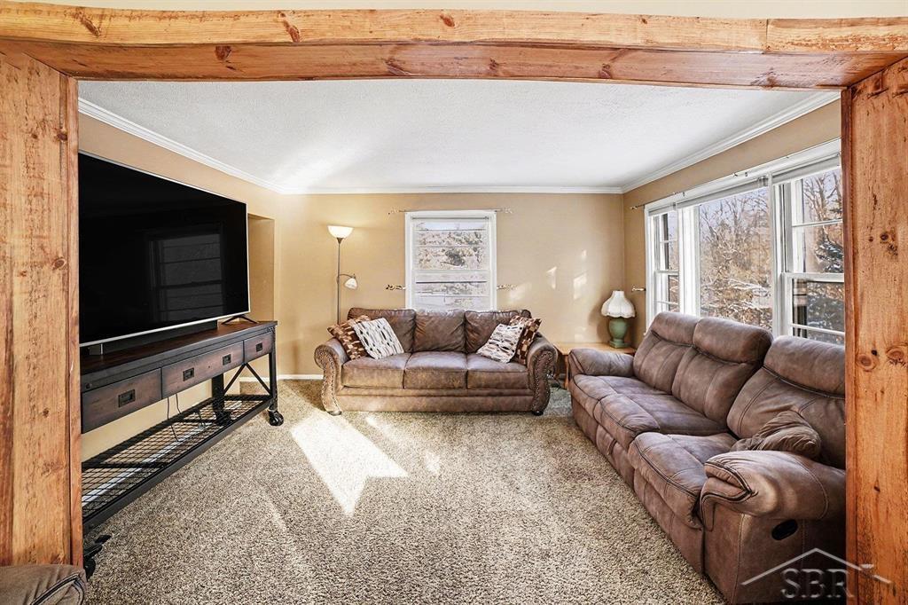 11851 North Crystal Road Vestaburg, MI 48891 - Photo 16 of 52