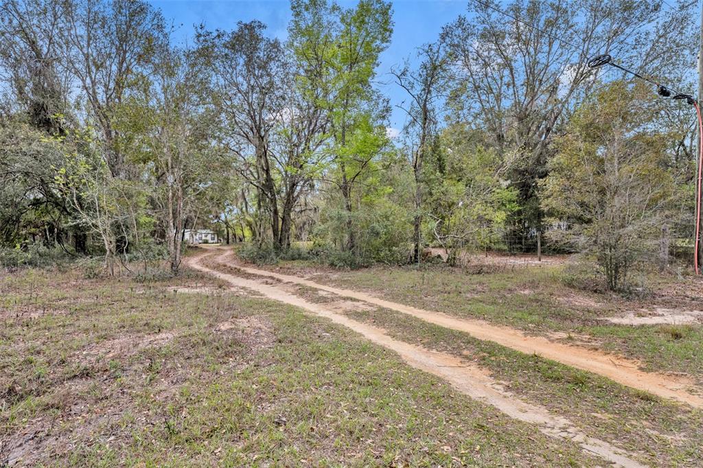 820 Youth Camp Road Groveland, FL 34736 - Photo 16 of 34