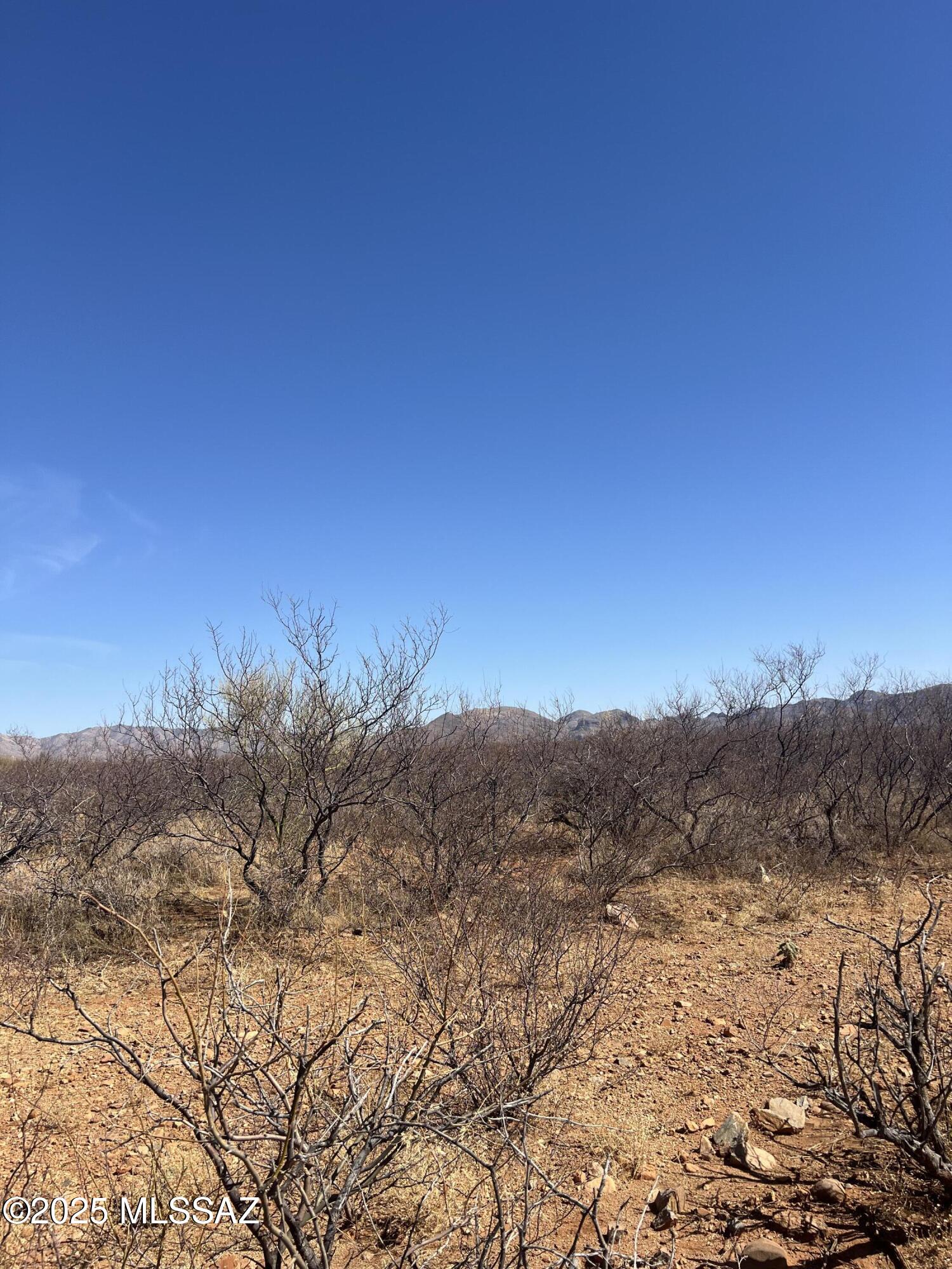 Tbd Camino Nacozari Drive, Unit 39C Rio Rico, AZ 85648 - Photo 12 of 16