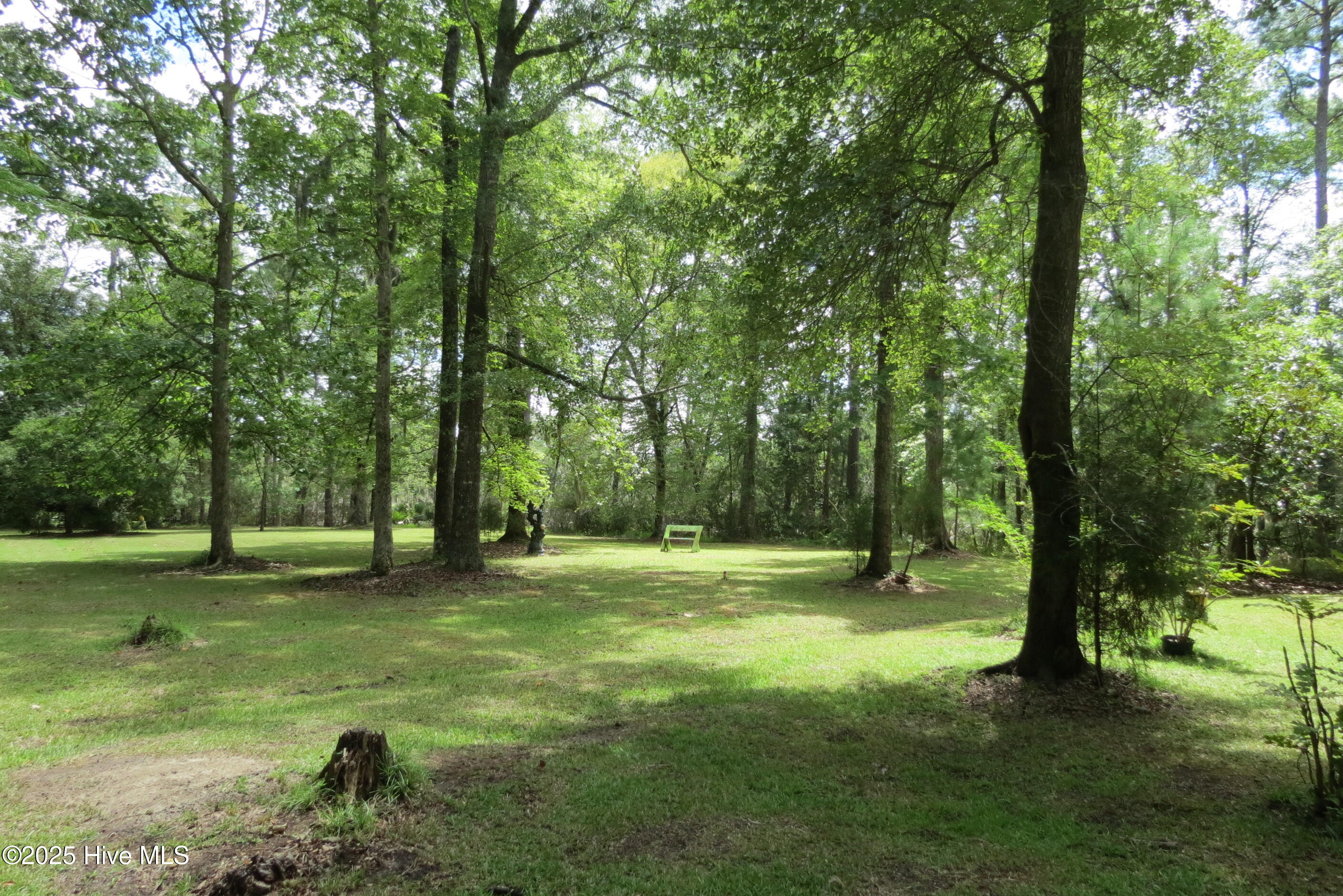 1763 Alligator Loop Road Merritt, NC 28556 - Photo 48 of 67 IMG_2213