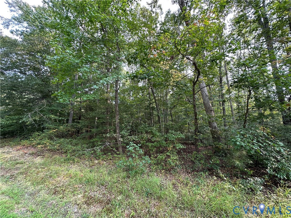 201 Yorktown Drive Ruther Glen, VA 22546 - Photo 2 of 4 View of woods