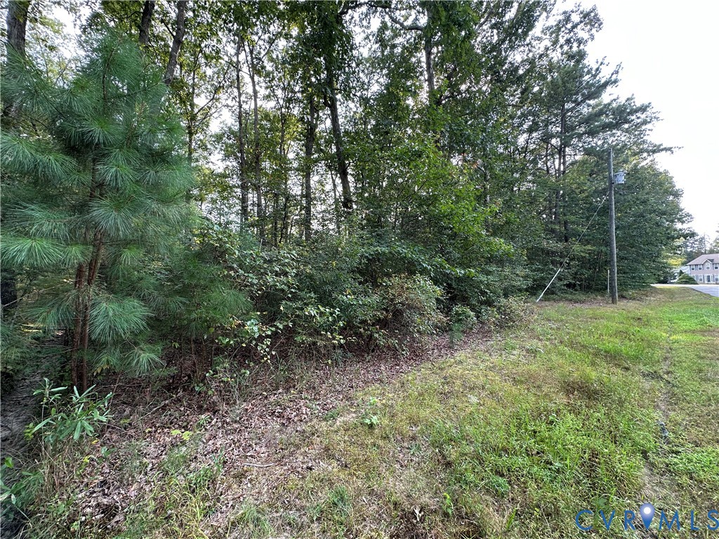 201 Yorktown Drive Ruther Glen, VA 22546 - Photo 3 of 4 View of undeveloped land