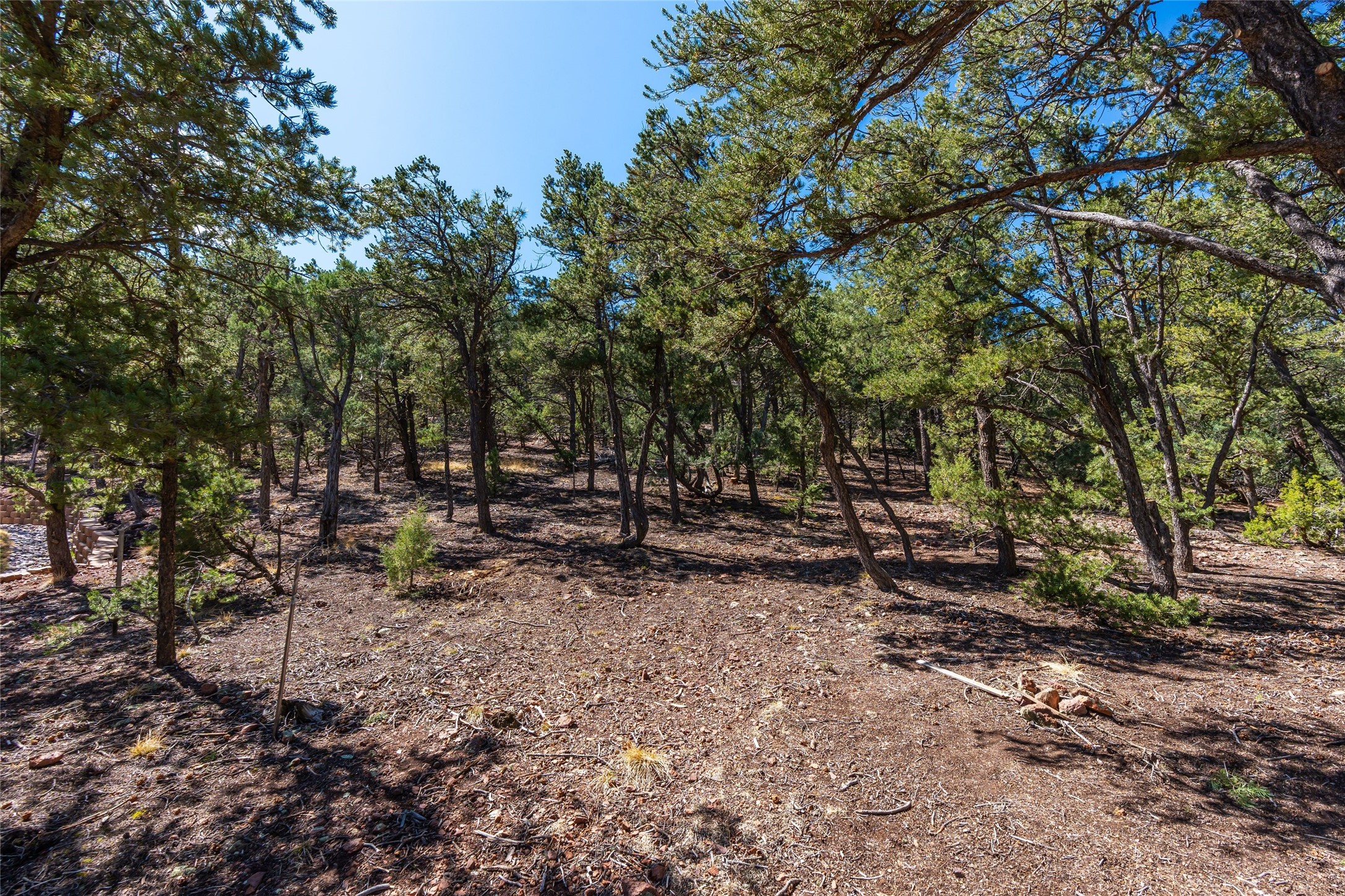 1412 Tesuque Creek Road Santa Fe, NM 87501 - Photo 10 of 13