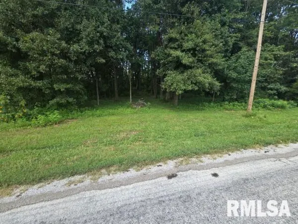 a view of backyard with green space