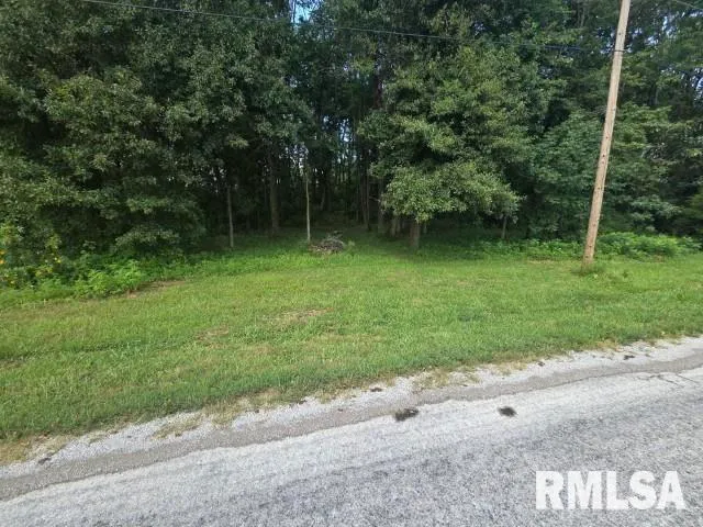 $13,000 | 0 East North Avenue, Bluford, IL 62814