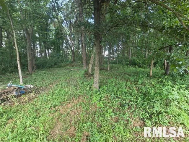 a view of outdoor space and green space