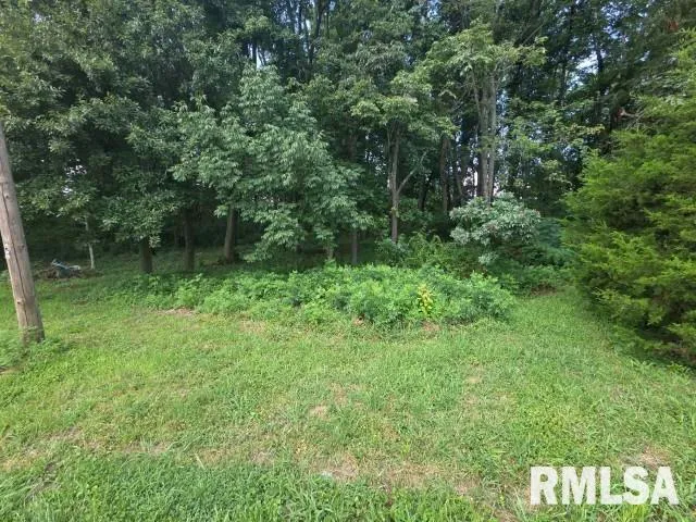 a view of outdoor space with a lake view