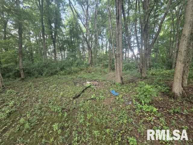 0 East North Avenue Bluford, IL 62814 - Photo 6 of 11