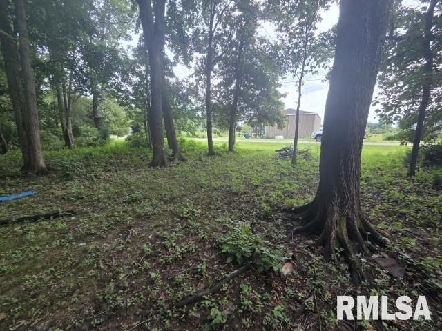 0 East North Avenue Bluford, IL 62814 - Photo 10 of 11