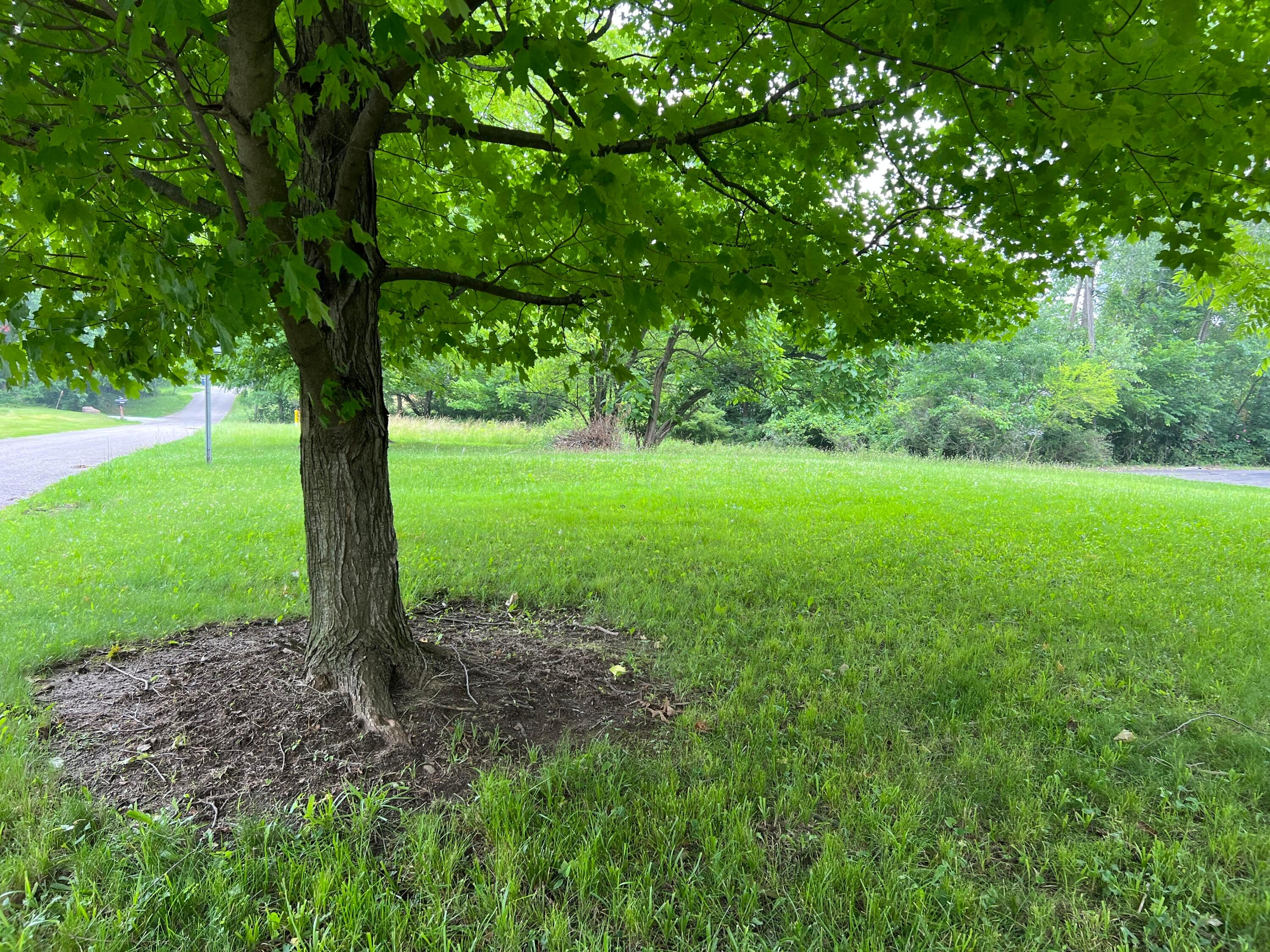 0 Hawthorn Road Thornville, OH 43076 - Photo 8 of 8 639424D2-BA30-4AF4-AB27-FA78C2313B3A