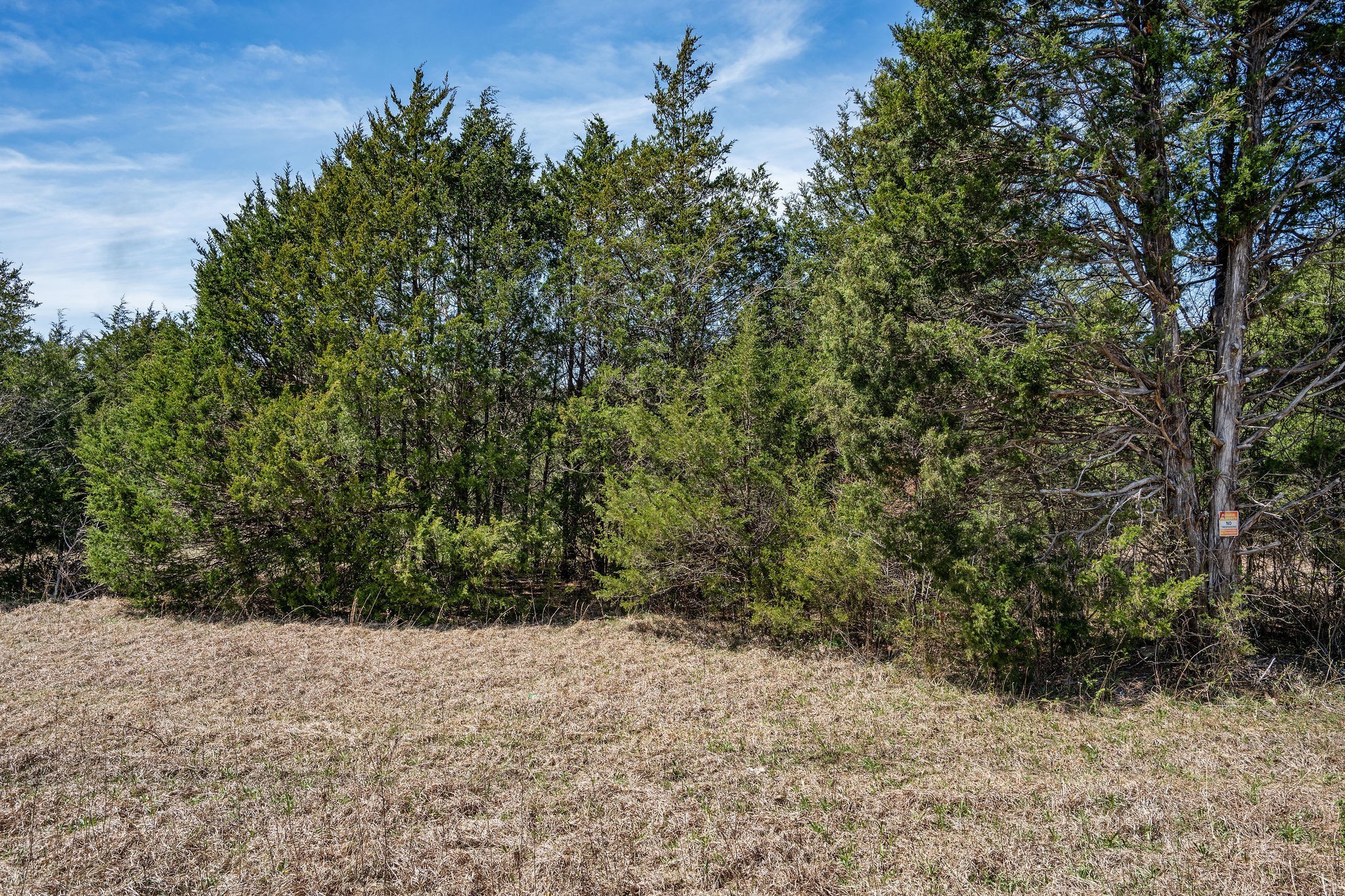 11452 South Windrow Road Rockvale, TN 37153 - Photo 20 of 42 Gallery Image 20