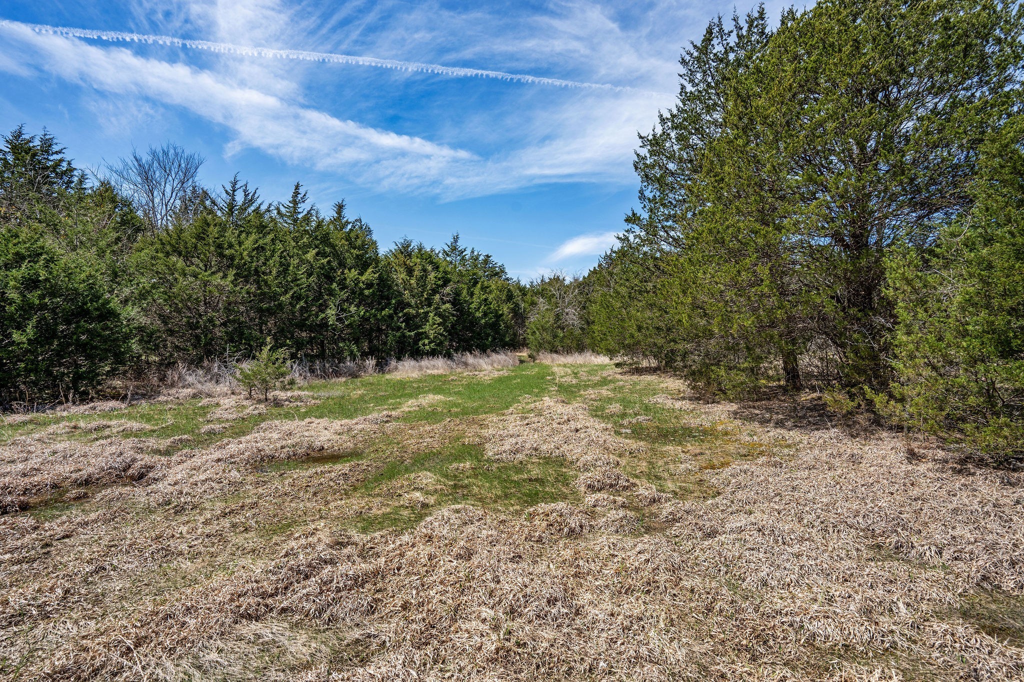 11452 South Windrow Road Rockvale, TN 37153 - Photo 23 of 42 Gallery Image 23