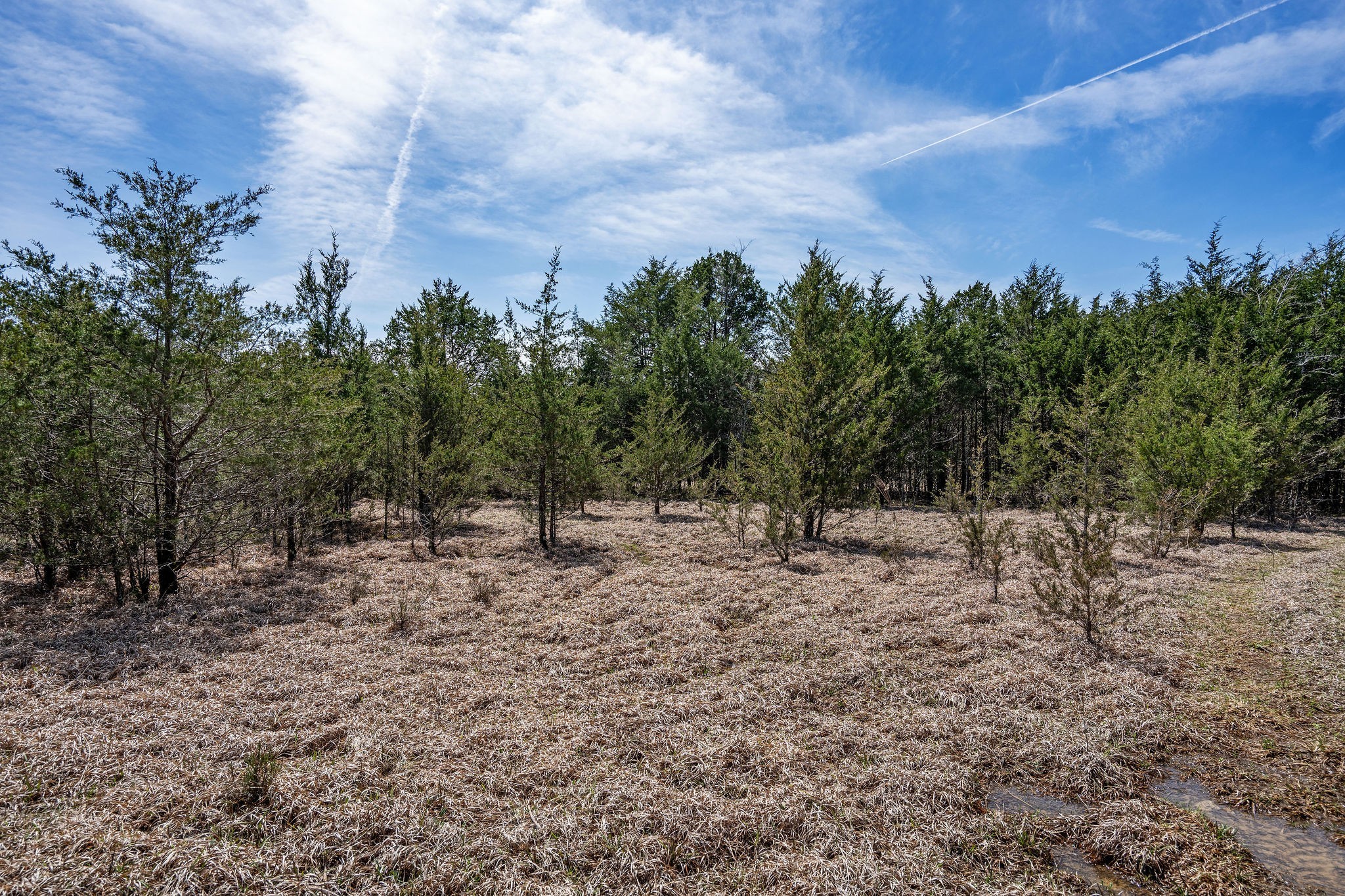 11452 South Windrow Road Rockvale, TN 37153 - Photo 32 of 42 Gallery Image 32